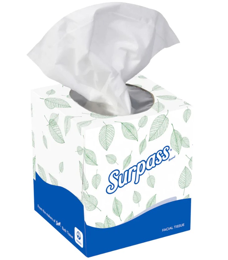 zoho_img_5892498000006356208 SurpassĀ® Facial Cube Tissue, 2-Ply, White - Image 1